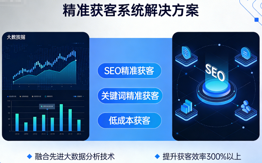 网站站群系统精准获客系统_SEO精准获客_大数据精准获客_关键词精准获客_低成本获客解决方案